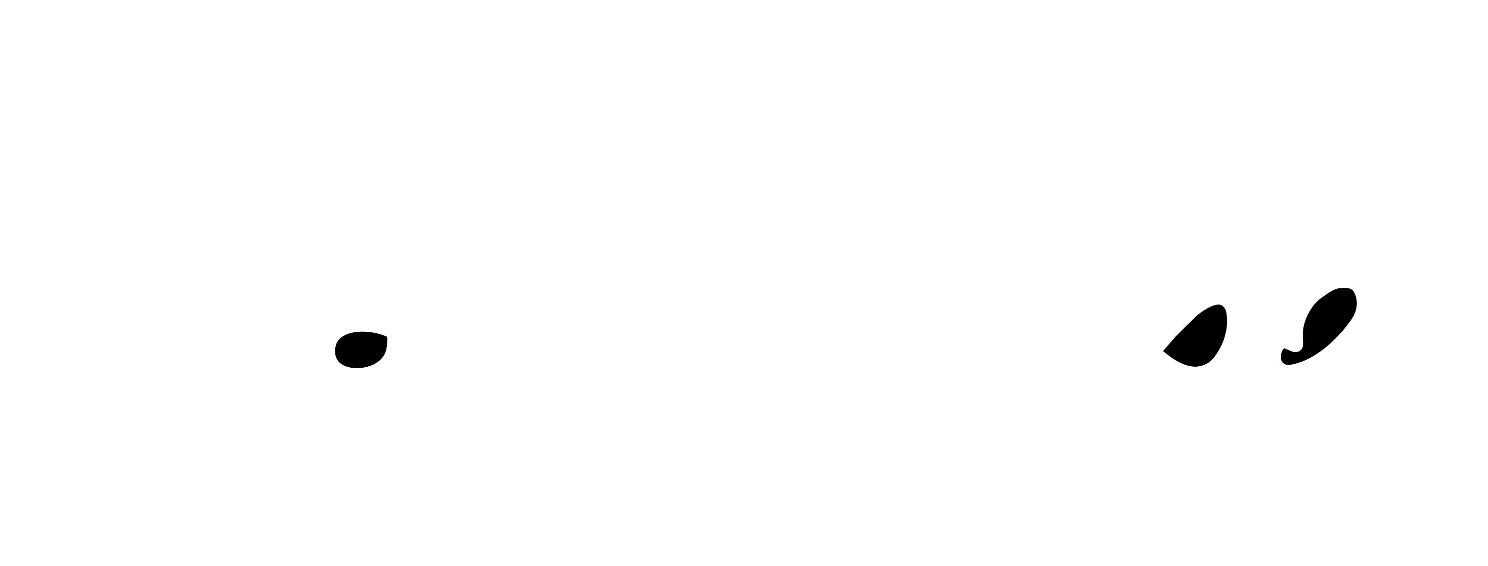 Partecipa